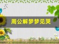 周公解梦梦见哭(周公解梦梦见哭是什么意思)