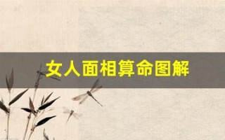 女人面相算命图解(女人面相秘法)
