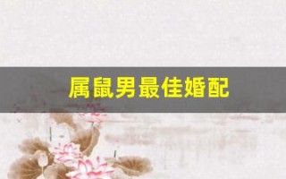 属鼠男最佳婚配(属鼠男最佳婚配属相第一名)
