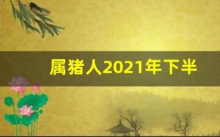 属猪人2021年下半年运势及运程(属猪人2021年下半年的运势)
