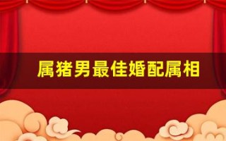 属猪男最佳婚配属相(属猪男最佳婚配属相表)