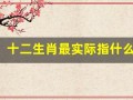 十二生肖最实际指什么生肖(十二生肖最实际指什么生肖的动物)
