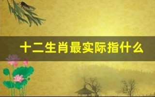 十二生肖最实际指什么生肖(十二生肖最实际指什么生肖的动物)