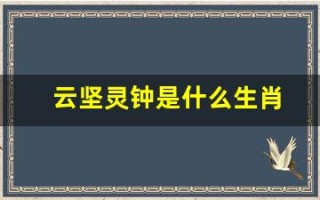 云坚灵钟是什么生肖(云坚灵钟是什么生肖动物)