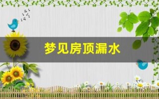 梦见房顶漏水(梦见房顶漏水是什么预兆解梦)