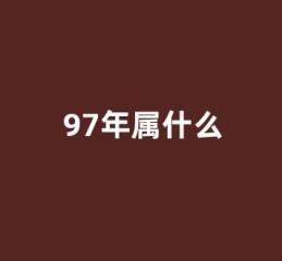 97年属什么(97年属什么星座)