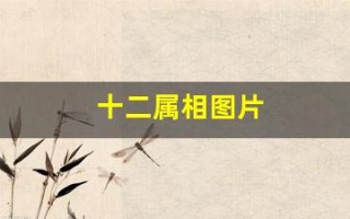十二属相图片(十二属相图片年龄)