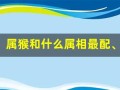 属猴和什么属相最配、相克(属猴和什么属相最配最合适呢)
