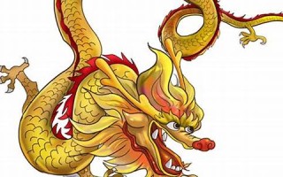 1988年属什么(1988年属什么龙)