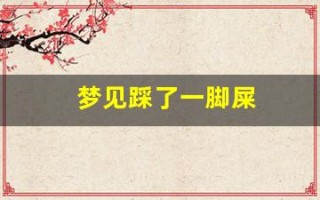 梦见踩了一脚屎(女人梦见脚踩大便预示着什么)