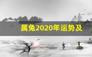属兔2020年运势及运程(1999年属兔2025年的运势)