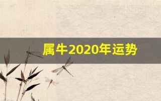 属牛2020年运势(属牛2020年运势及运程)