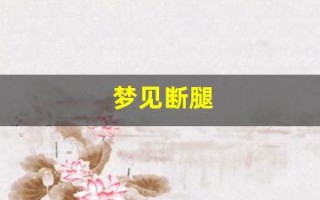 梦见断腿(梦见断腿的狗)