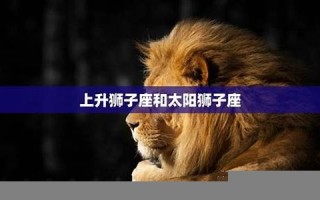 上升狮子(上升狮子是什么意思)