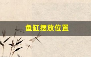 鱼缸摆放位置(客厅鱼缸摆放什么位置最佳)