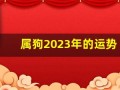 属狗2023年的运势(属狗2023年的运势及运程易安居)
