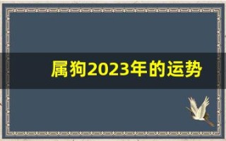 属狗2023年的运势(属狗2023年的运势及运程)