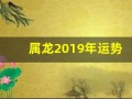 属龙2019年运势(属龙2019年的运势)