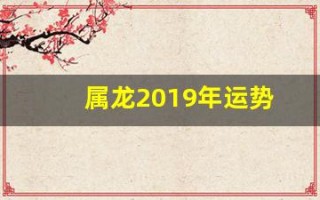 属龙2019年运势(属龙2019年的运势)