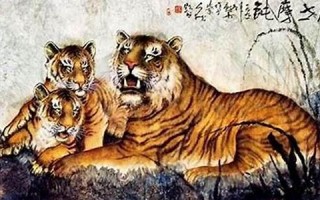 虎年出生的人的命运(虎年出生的人的命运如何)