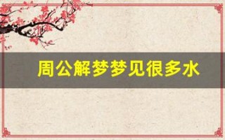 周公解梦梦见很多水(周公解梦梦见很多水是什么意思)