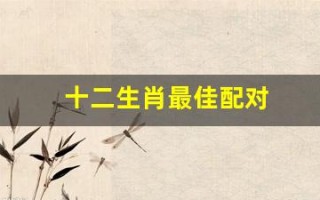 十二生肖最佳配对(十二生肖最佳配对表格图)