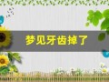 梦见牙齿掉了(梦见牙齿掉了一颗什么意思)