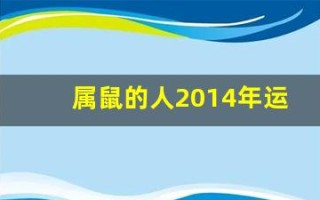 属鼠的人2014年运程(属鼠2014年运势)