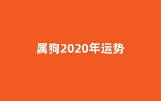 属狗2020年运势(2025年属狗1970年运势)