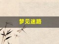 梦见迷路(梦见迷路了找不到要去的地方)
