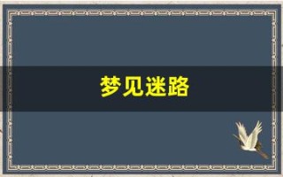 梦见迷路(梦见迷路了找不到要去的地方)