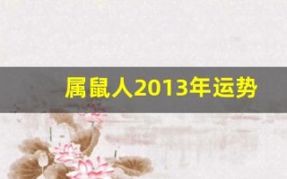 属鼠人2013年运势(属鼠的2013年的时候多大)