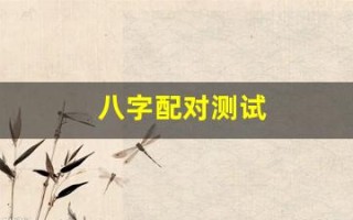 八字配对测试(八字配对测试两人姻缘免费)