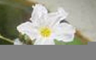 2016年2月23日(2016年2月23日双色球开奖结果)