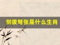 剑拔弩张是什么生肖(剑拔弩张的意思是啥)