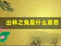 出林之兔是什么意思(出林龙是什么生肖)