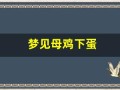 梦见母鸡下蛋(梦见母鸡下蛋孵出小鸡)