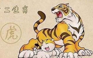 属虎2023年的运势及运程(属虎2023年的运势及运程74)