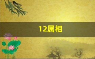 12属相(12属相金木水火土对照表)