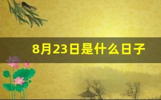 8月23日是什么日子(8月23日是什么日子 百度百科)