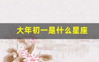 大年初一是什么星座(水瓶座和什么星座最配对)