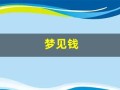梦见钱(梦见钱装入自己口袋是什么预兆)
