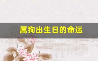 属狗出生日的命运(属狗出生日的命运如何)