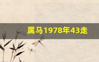 属马1978年43走大运(78年属马43岁走大运)