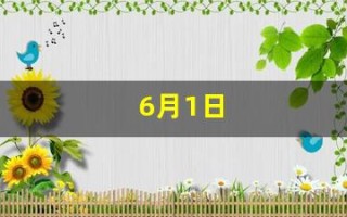 6月1日(6月1日到7月1日一共有多少天)