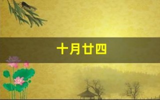 十月廿四(十月廿四怎么读)