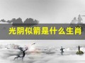 光阴似箭是什么生肖(光阴似箭打一生肖动物)
