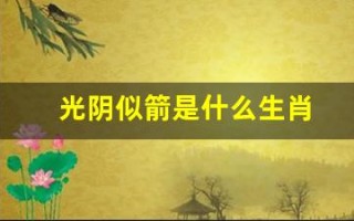 光阴似箭是什么生肖(光阴似箭打一生肖动物)