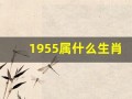 1955属什么生肖(1953属什么生肖)