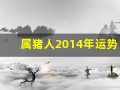 属猪人2014年运势(属猪人2014年运势如何)